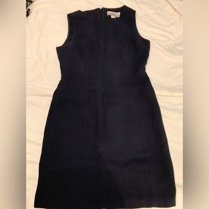 Petite sophisticate Navy Dress in 6